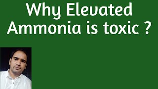 Why Elevated Ammonia in blood is toxic   Biochemical basis for neurotoxicity [upl. by Kenti]