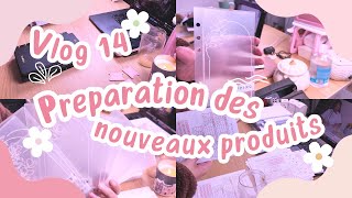 🌸 Studio vlog 14  Une journée dans mon studio 🌸 [upl. by Eisor278]