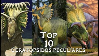 Top 10 ceratópsidos mas pecuriales [upl. by Willabella]