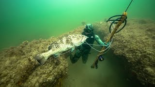 Spearfishing for GIANT Grouper In Ocean Dangerous shot  Jiggin With Jordan [upl. by Shulman]