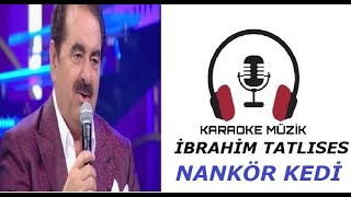 Nankör Kedi KARAOKE Cover [upl. by Eyahsal]