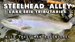 STEELHEAD ALLEY  Fly Fishing Lake Erie Tributaries [upl. by Liliane]