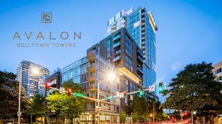 Avalon Belltown Towers  1 BR 1 BA 670 sq ft Tier I Scheme Unit 224 [upl. by Vergil]