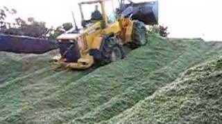 Volvo L70 Clamping maize silage [upl. by Wade]