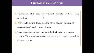 Emissary veins [upl. by Alrak243]