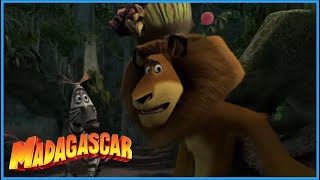 DreamWorks Madagascar  Lions Dont Dance  Madagascar Escape 2 Africa Movie Clip [upl. by Aneetsyrk]