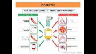 Disfunção hematológica [upl. by Donell966]