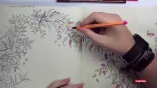 Dicas para colorir o quotJardim Secretoquot com STABILO [upl. by Pish232]