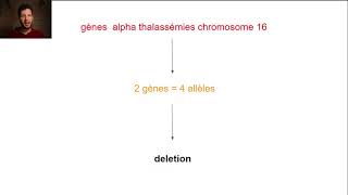 8alpha thalassemie [upl. by Sid]