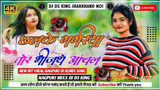 CHHALKEGAGRIYATORBHINJTHEANCHAL NETHETHNAGPURDJREMIXSONG2024 DJDSKINGJHARKHAND [upl. by Marthe]