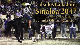 Caballos Bailadores Sinaloa  Belinda Olivas  Caballo Canción [upl. by Russel]