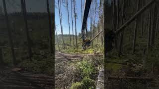 abitibi logging quebec forestry logginglife foryou foresterie🌲 johndeere ponsse ponsseh7 [upl. by Glover]