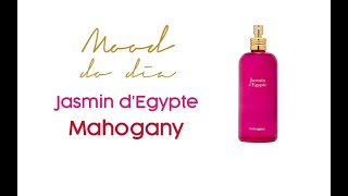 Jasmin d’Egypte Mahogany [upl. by Airal]