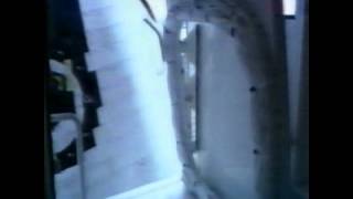 STS2 Launch Coverage  1981 [upl. by Odab]