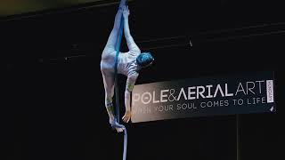 Pole and Aerial Art Hungary 2024 Oszkár Tóth  2nd place [upl. by Hepsibah477]