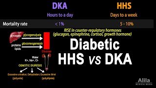 Hyperosmolar Hyperglycemic State Diabetic HHS vs DKA Animation [upl. by Deryl]