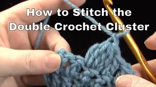 How to Stitch the Double Crochet Cluster  an Annies Tutorial [upl. by Eizeerb]