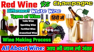 All About Wine Types of Wine Wine Making Process Wines Red Wine Sparkling Wine Champagne Wine [upl. by Enelav]