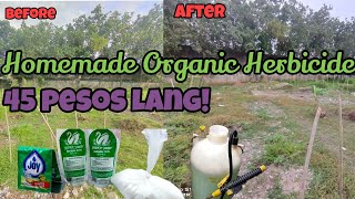 Organic Herbicide SukaAsinJoy Effective nga ba [upl. by Novj]