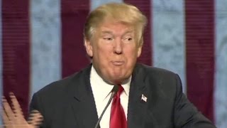 Trump mocks reporter with disability [upl. by Essyla544]