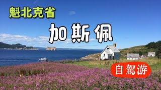 加拿大魁北克省加斯佩地區自駕游 [upl. by Deerc]