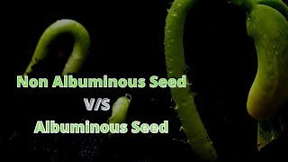 DIFFERENCE BETWEEN NON ALBUMINOUS SEED AND ALBUMINOUS SEED HINDI [upl. by Anirdna549]