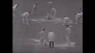 Cricket The 60s Part 3 [upl. by Merla]