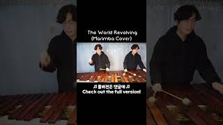 Deltarune  The World Revolving Marimba Cover shorts [upl. by Nivlag]