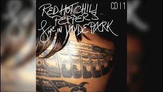 FORTUNE FADED  Red Hot Chili Peppers  Guitar Backing Track  Hyde Park 2004 [upl. by Meredith]