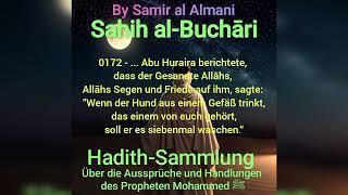 Sahih alBuchāri  Buch 1  Die Gebetswaschung  Hadith Nr0172 [upl. by Isidro]