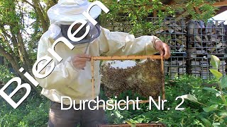 Bienen Durchsicht Nr 2 [upl. by Atinauq207]