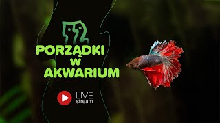 AkwaLive porządki LIVE 108 [upl. by Angie663]