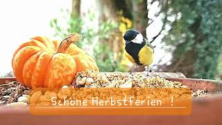 Schöne Herbstferien [upl. by Lieno]