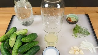 Deli Style LactoFermented Dill Pickles [upl. by Dazhahs]