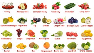 Fruit Names in English [upl. by Hteik917]