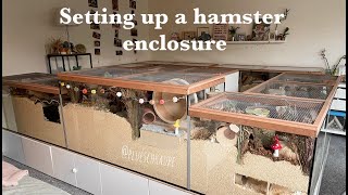 Setting up a hamster enclosure  Lottas enclosure [upl. by Aibat]