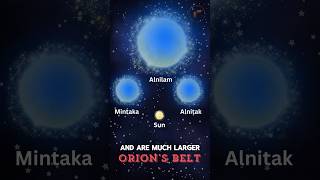 The Belt Stars of Orion  Understanding the Belt Stars of Orion  Belt in the Night Sky shortfeeds [upl. by Layman]