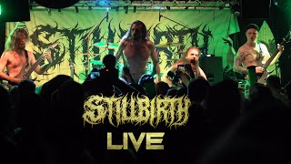 Stillbirth  Global Error  live at Helvete Oberhausen  May 2024 [upl. by Nessaj]