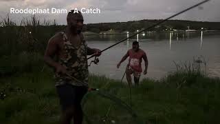 Roodeplaat Dam  A Catch Carp Fishing [upl. by Agatha826]