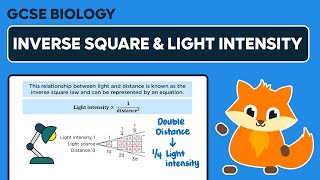 Inverse Square Law amp Light Intensity in Photosynthesis  GCSE Biology [upl. by Dobson]