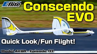 EFlite Conscendo Evolution 15m BNF Basic  Model AV8R Quick LookFun Flight [upl. by Itraa416]