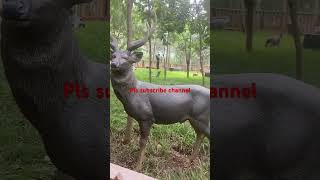 Wild animal statue models at Nagaravanam park Perecherla [upl. by Anelrahc441]