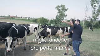 milkrite  InterPuls amp Fattoria Rossi  Italian subtitles [upl. by Jacki]