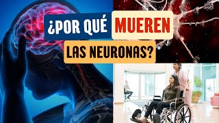 ¿Por qué mueren las neuronas [upl. by Eronaele]