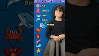 10 Sea Animals🐬 For Kids English Words amp Vocabulary Learn with Adi Adi Connection shorts [upl. by Bradlee]