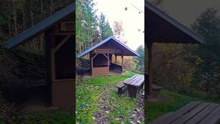 schwarzwald ortenau blackforest hike hiking hikingadventures wanderlust wandern nature [upl. by Goldina411]