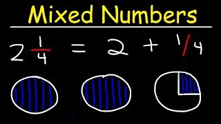 Mixed Numbers [upl. by Ahsekim307]