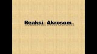 Reaksi Akrosom by Klinik Andrologi dr Anton Darsono Wongso SpAnd [upl. by Arst938]