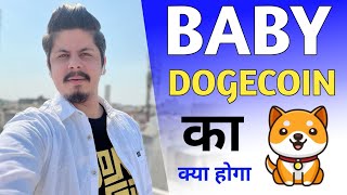 Baby Dogecoin का क्या होगा Bull Run में [upl. by Elocan276]