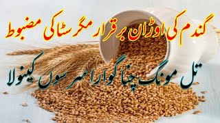 today grain markets in Pakistan ghala mandi rates [upl. by Alekat]